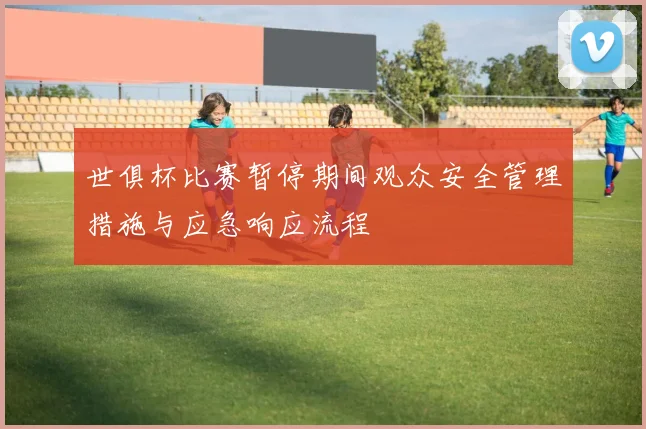 世俱杯比赛暂停期间观众安全管理措施与应急响应流程