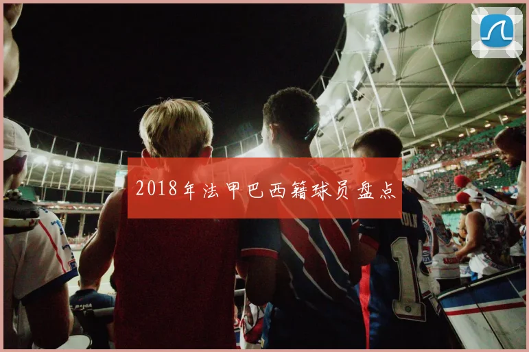 2018年法甲巴西籍球员盘点