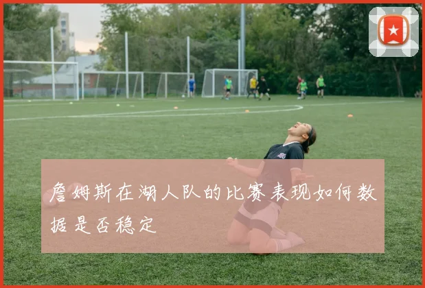 詹姆斯在湖人队的比赛表现如何数据是否稳定