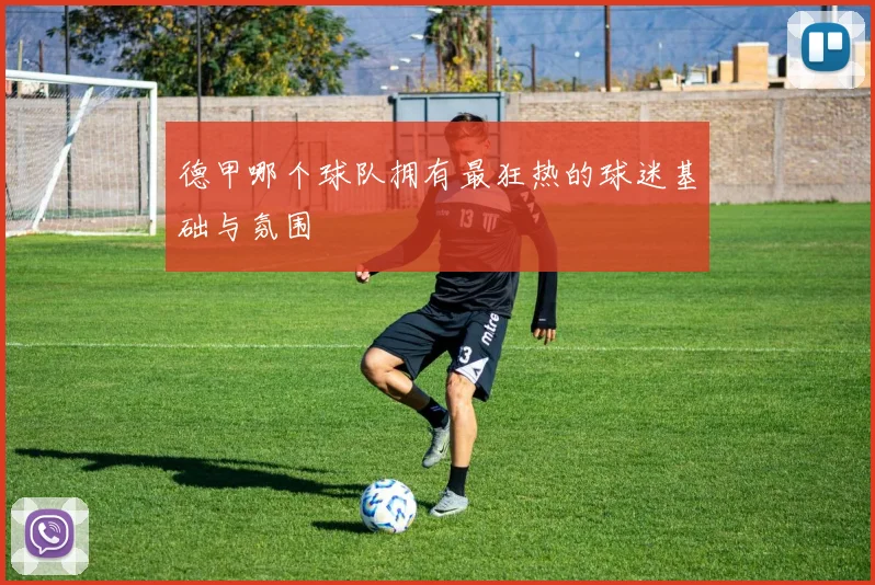 德甲哪个球队拥有最狂热的球迷基础与氛围