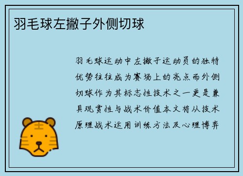 羽毛球左撇子外侧切球