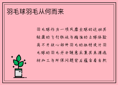 羽毛球羽毛从何而来